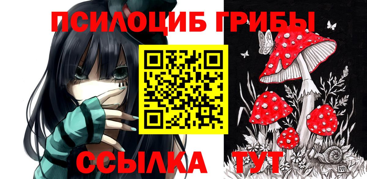 Черемхово  Псилоцибиновые грибы мицелий  Вход с VPN 